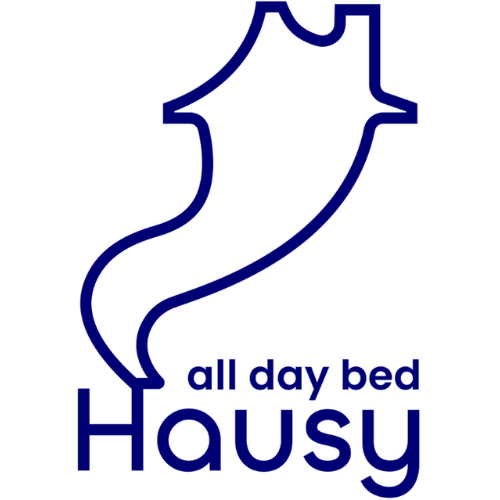 Hausy